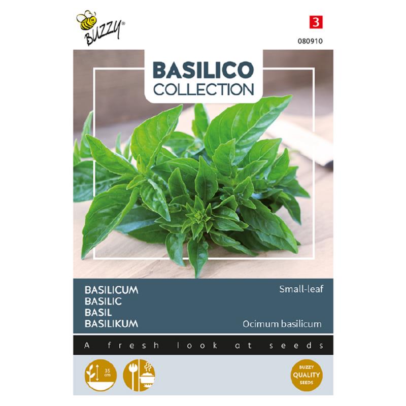 Buzzy® Sweet Basil Small-leaf