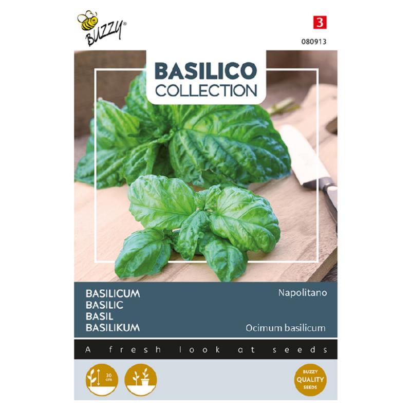 Buzzy® Basil Napolitano