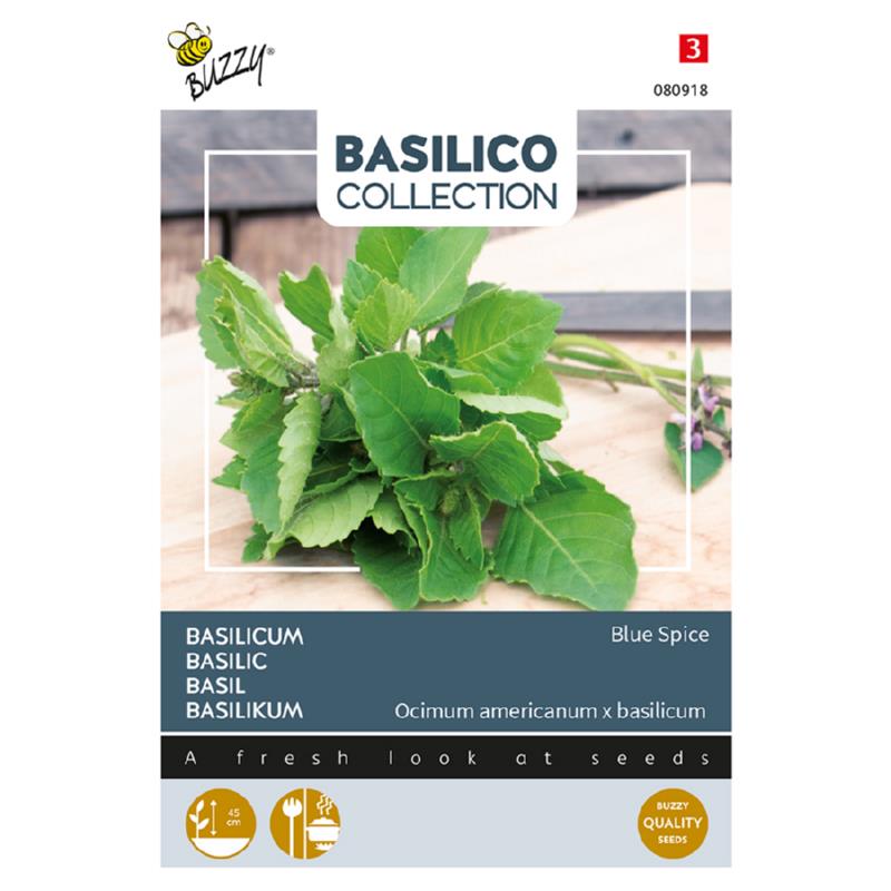 Buzzy® Basilicum Blue Spice