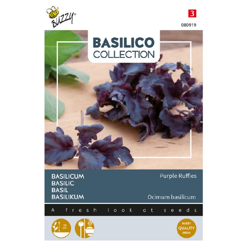 Buzzy® Basil Purple Ruffles