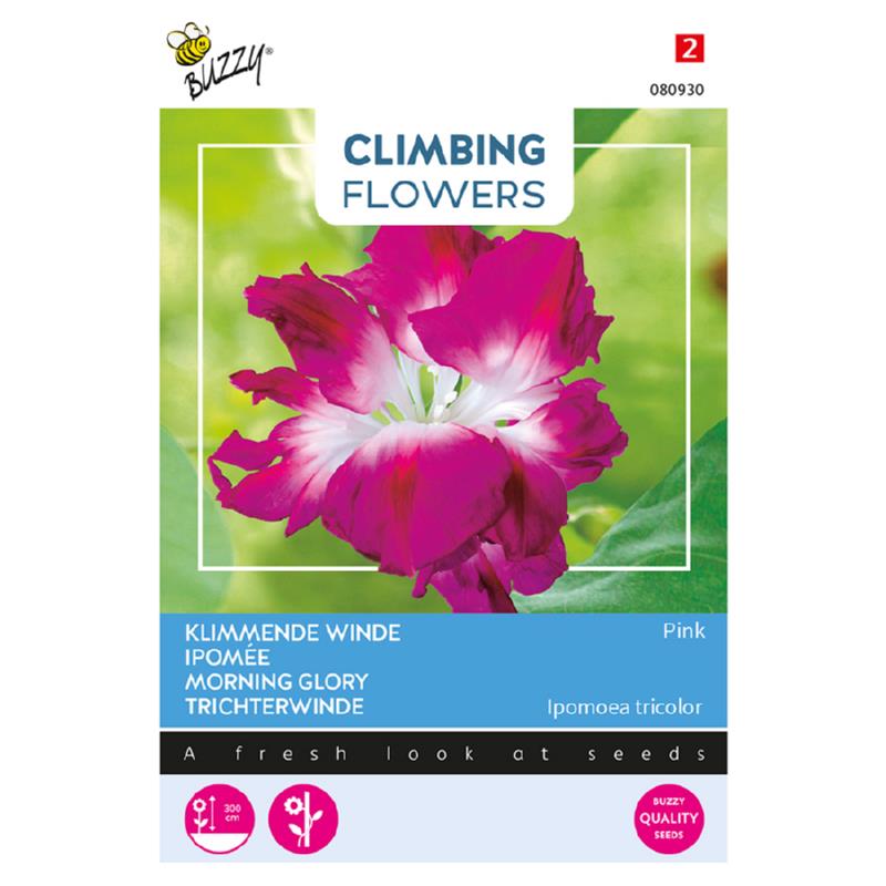 Buzzy® Climbing Flowers, Ipomoea Pink, double flowered