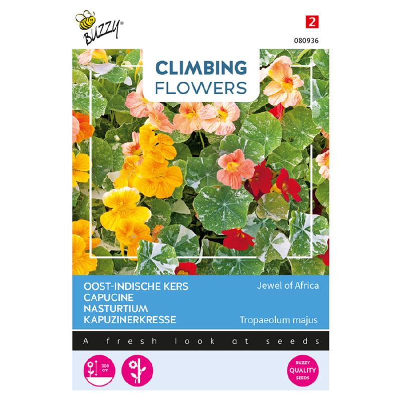 Buzzy® Climbing Flowers, Tropaeolum Jewel of Africa