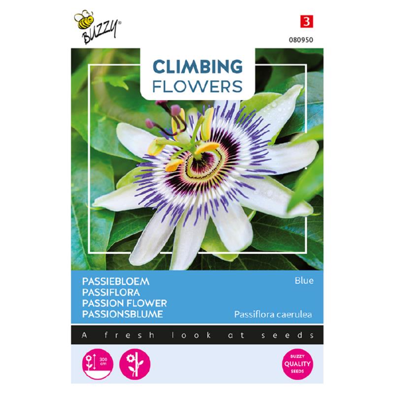 Buzzy® Climbing Flowers, Passion flower Blue