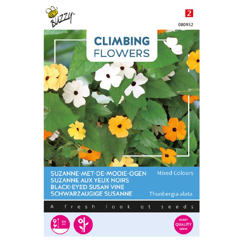 Buzzy® Climbing Flowers Thunbergia, Suzanne-met-mooie-ogen