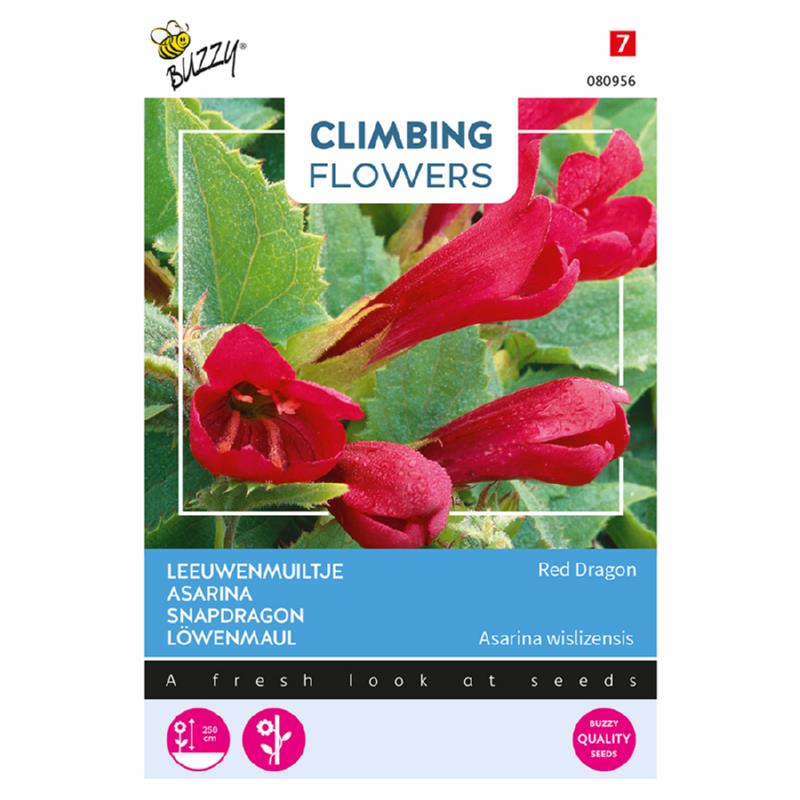 Buzzy® Climbing Flowers, Asarina Red Dragon