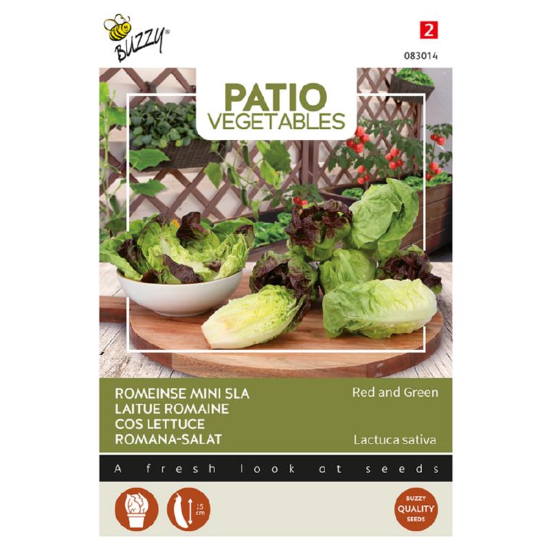 Buzzy® Patio Veggies, Cos Lettuce Red and green