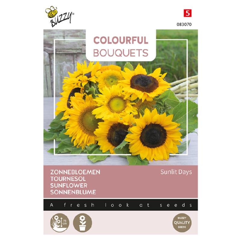 Buzzy® Colourful Bouquets, Sunlit Days, Sunflower