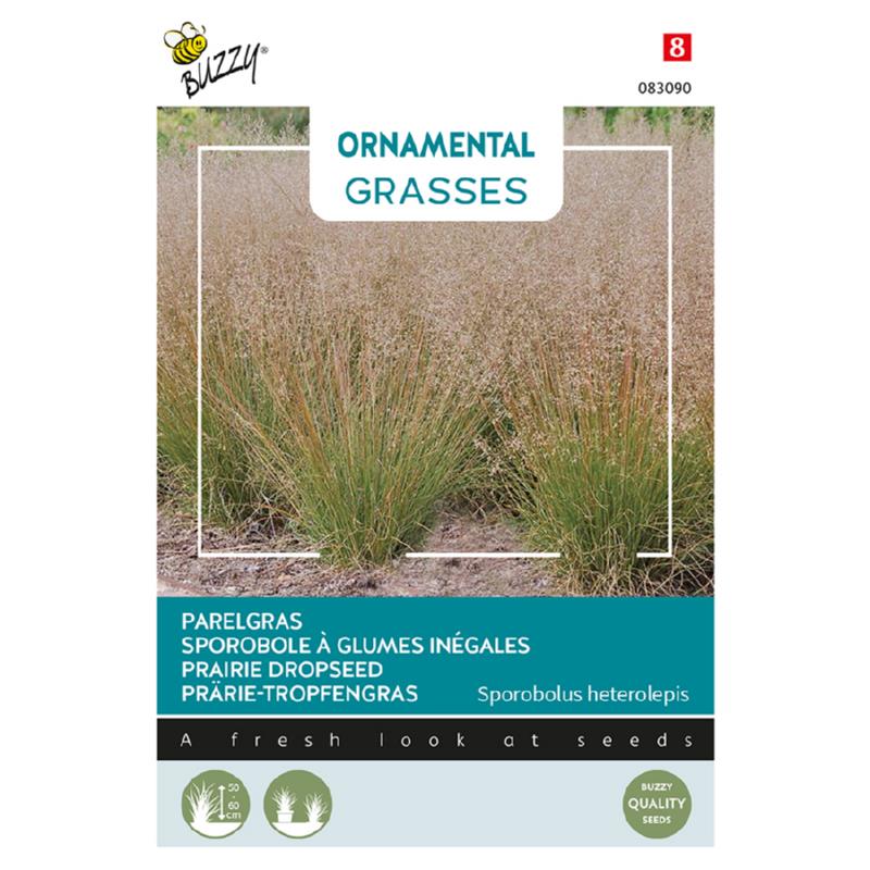 Buzzy® Ornamental Grasses, Prairie Dropseed