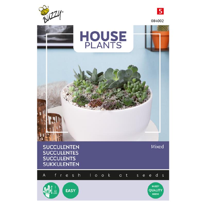 Buzzy® House Plants Mixed Succulents, vetplanten