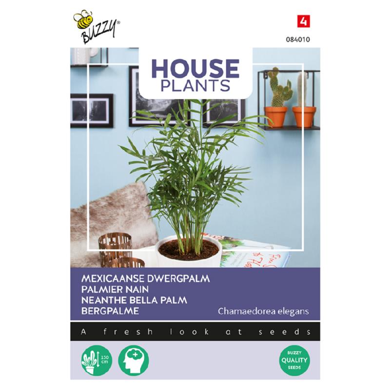 Buzzy® House Plants Chamaedorea, Neanthe Bella Palm
