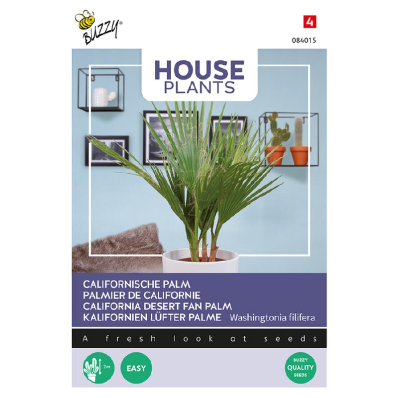 Buzzy® House Plants Californian palm