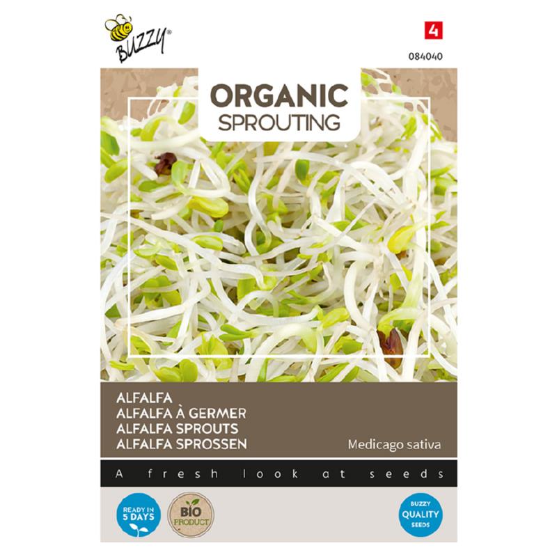 Buzzy® Organic Sprouting Alfalfa Luzerne (BIO)