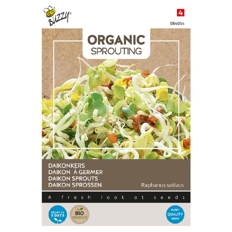 Buzzy® Organic Sprouting Daikon cress (BIO)