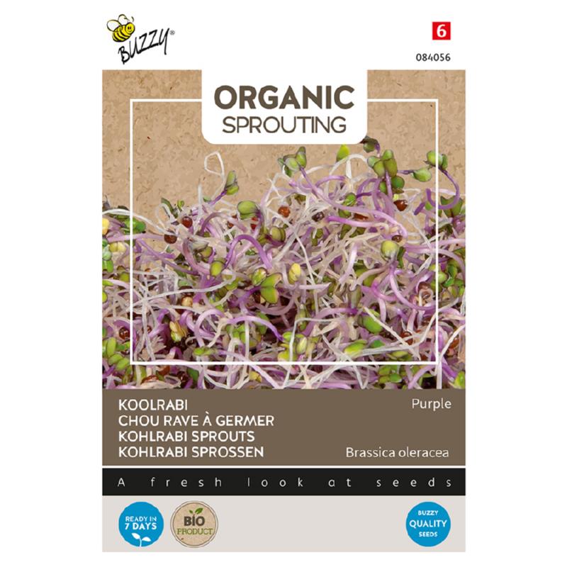 Buzzy® Organic Sprouting Kohlrabi purple (BIO)
