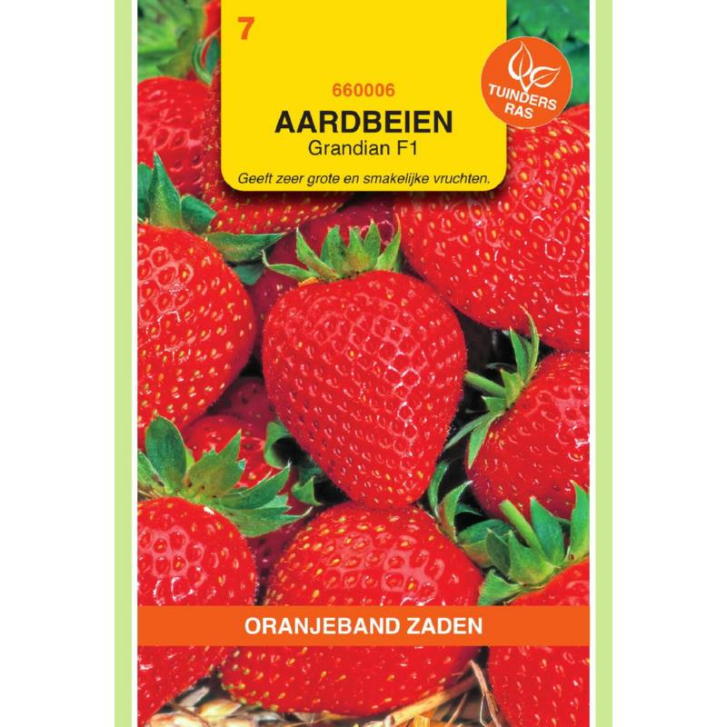 OBZ Aardbeien Grandian (vh Sarian) F1