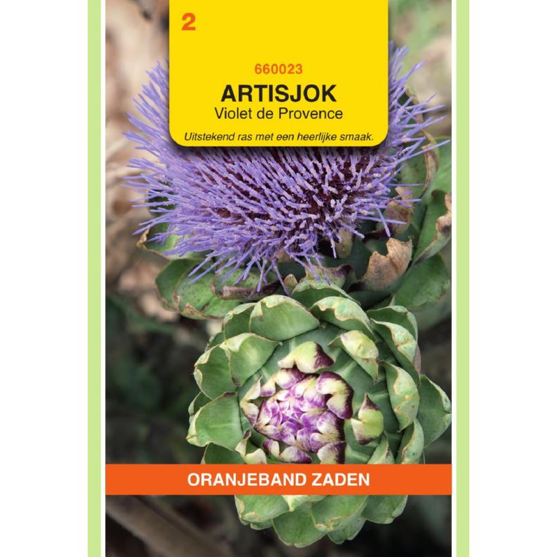 Oranjeband® Artichoke Violet De Provence