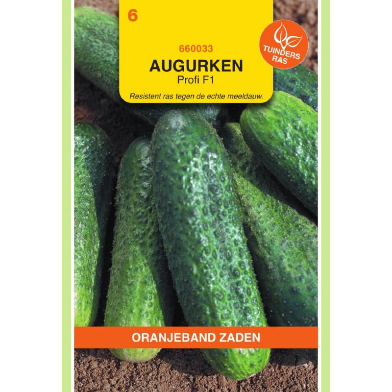 OBZ Augurken Profi (vh Capra) F1