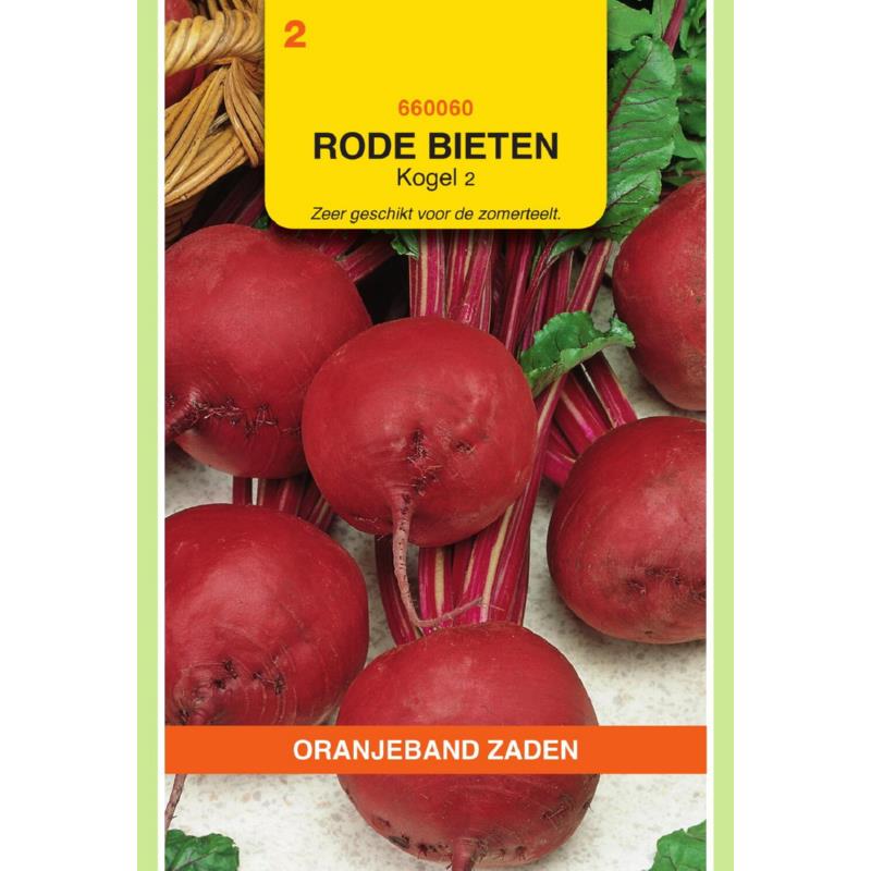 OBZ Rode Bieten Kogel 2