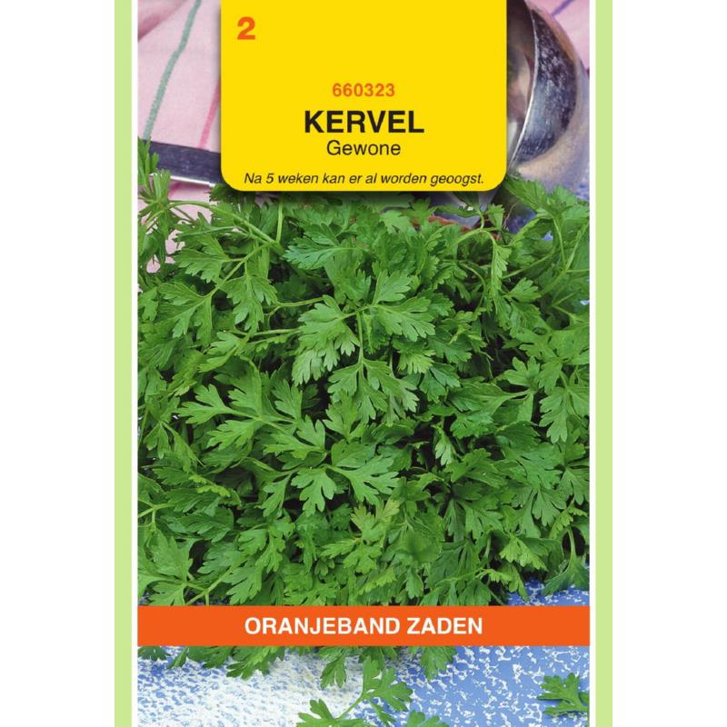 Oranjeband® Chervil Common