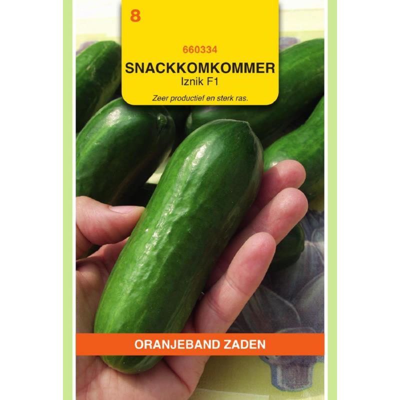 Oranjeband® Cucumber Iznik F1