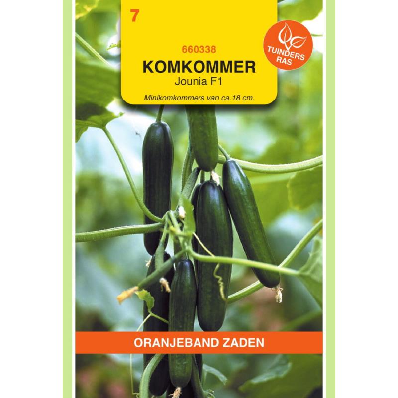 OBZ Komkommer Jounia F1