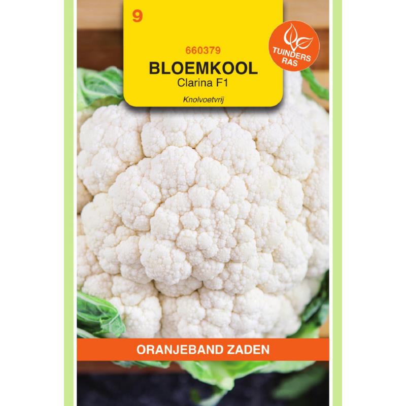 Oranjeband® Cauliflower Clarina F1