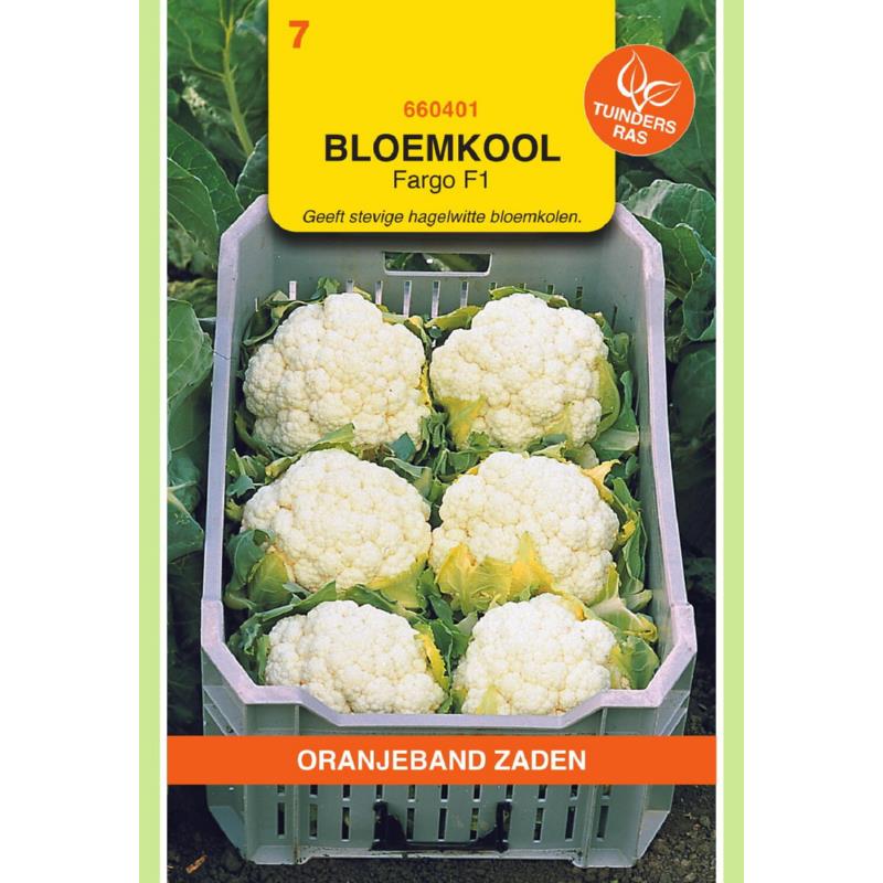 Oranjeband® Cauliflower Fargo F1 (tzt Ibiza F1)