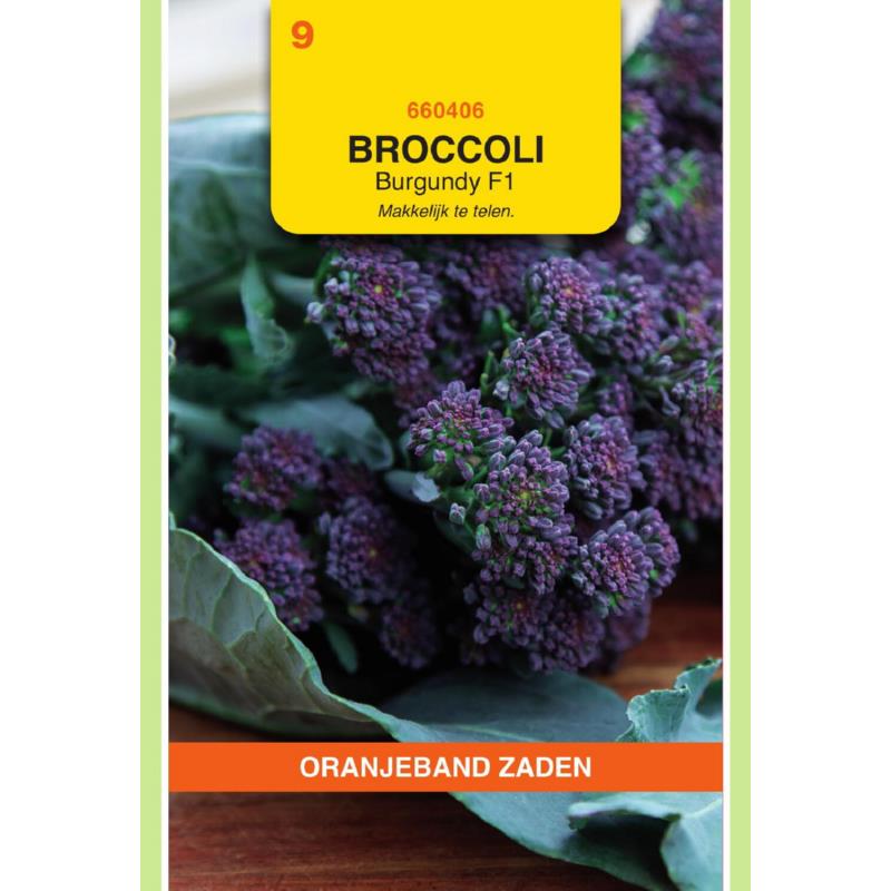 Oranjeband® Sprouting Broccoli Burgundy F1