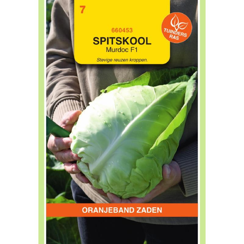 Oranjeband® Pointed Cabbage Murdoc