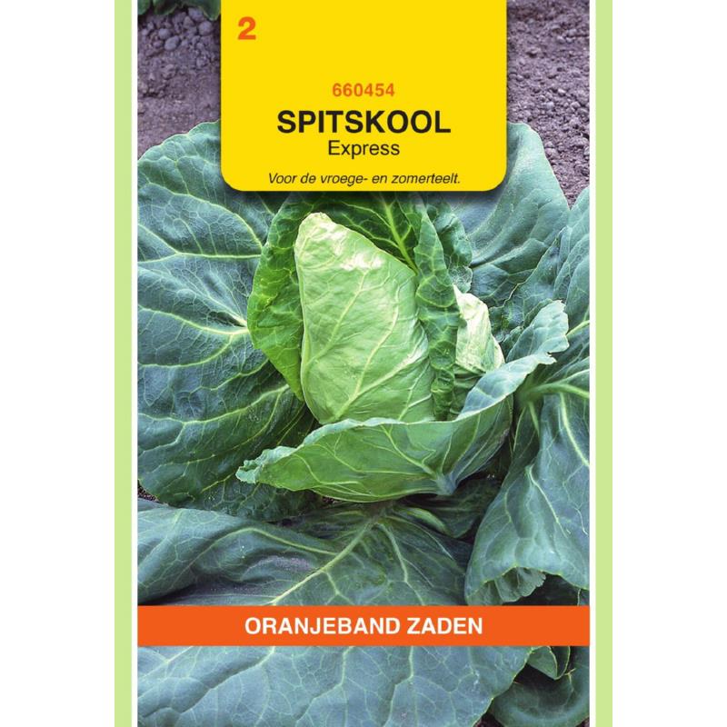 OBZ Spitskool Express