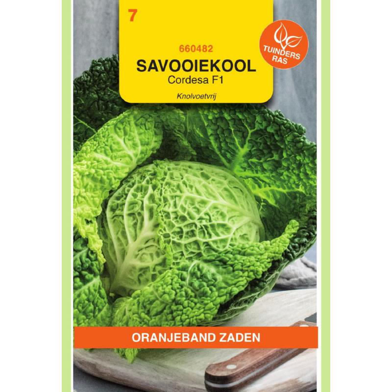 OBZ Savooiekool Cordesa F1