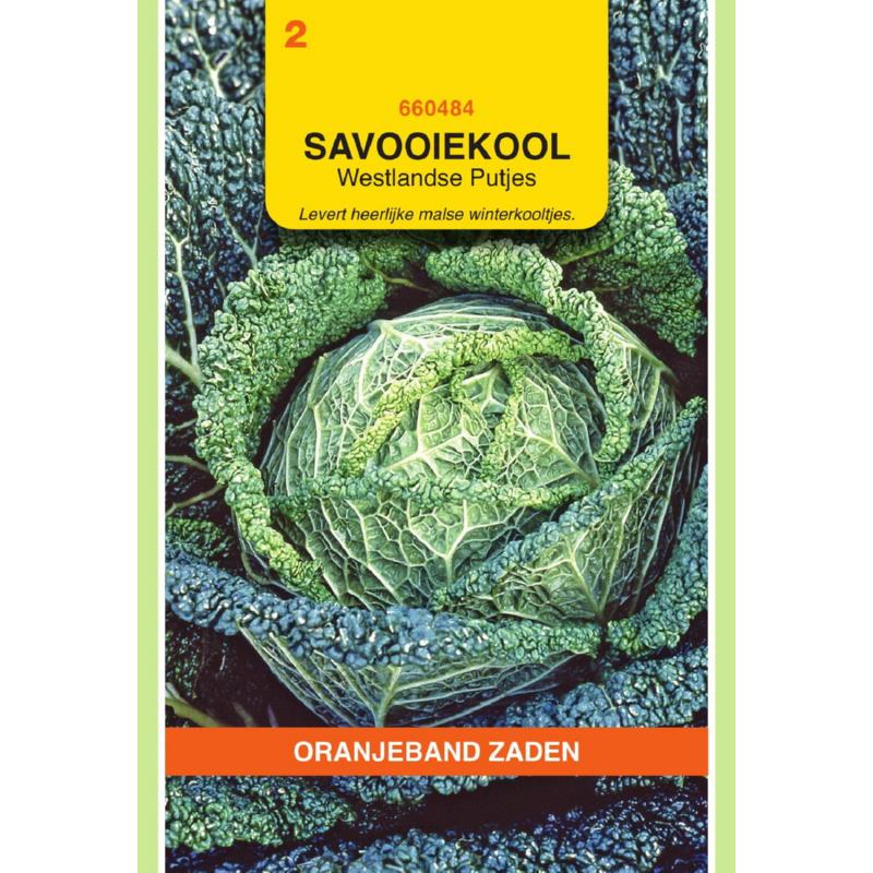 OBZ Savooiekool Westlandse Putjes