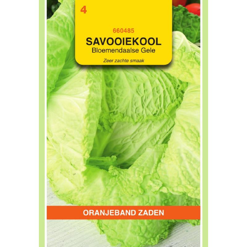 OBZ Savooiekool Bloemendaalse gele