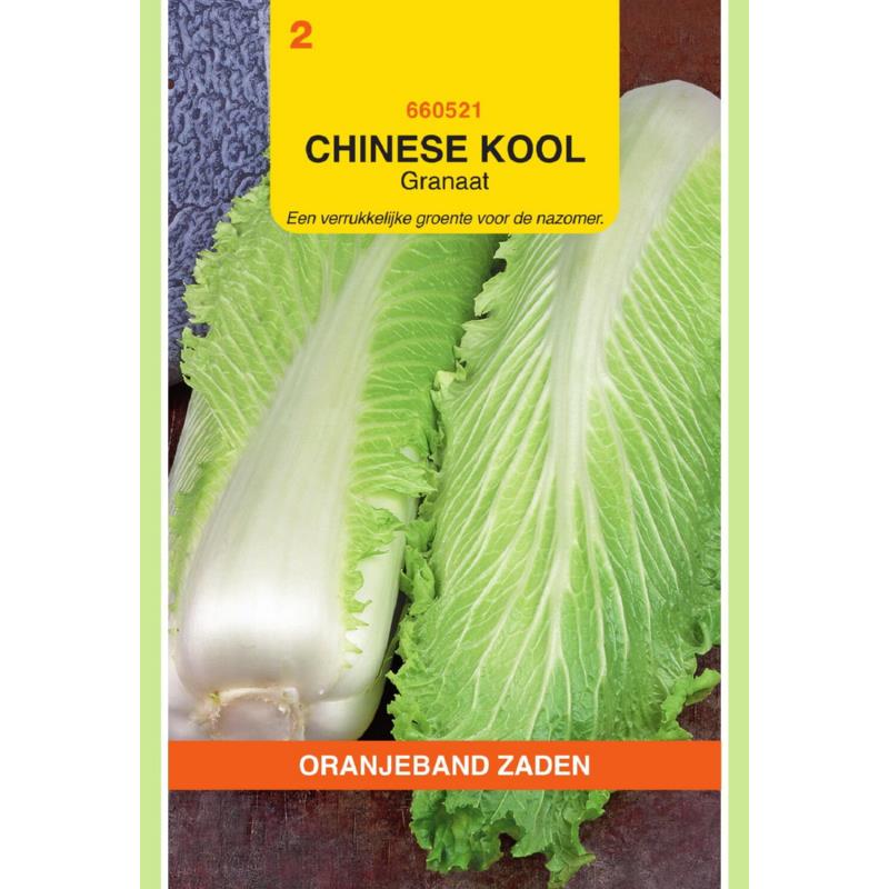 Oranjeband® Chinese Cabbage Michihili