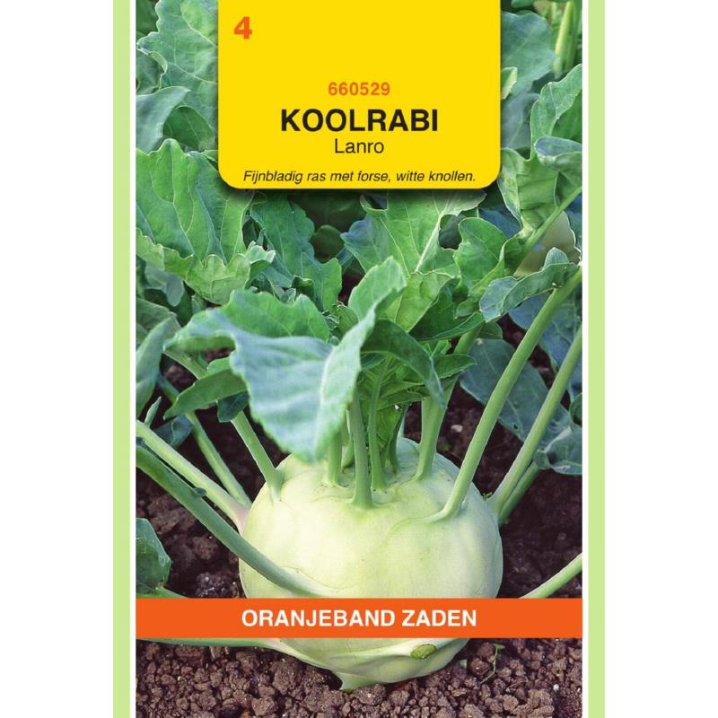 Oranjeband® Kohlrabi Lanro