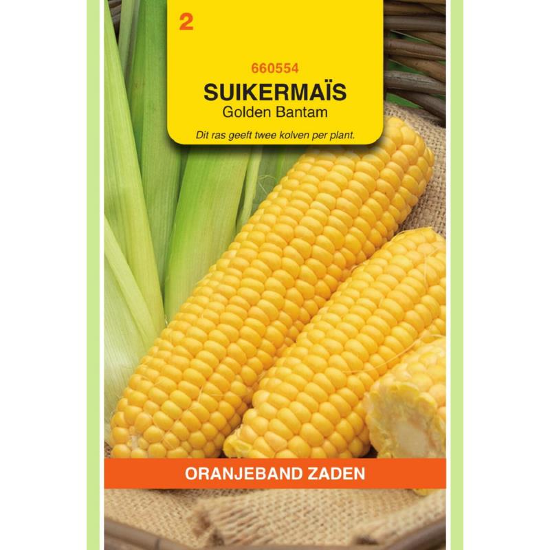 OBZ Suikermais Golden Bantam