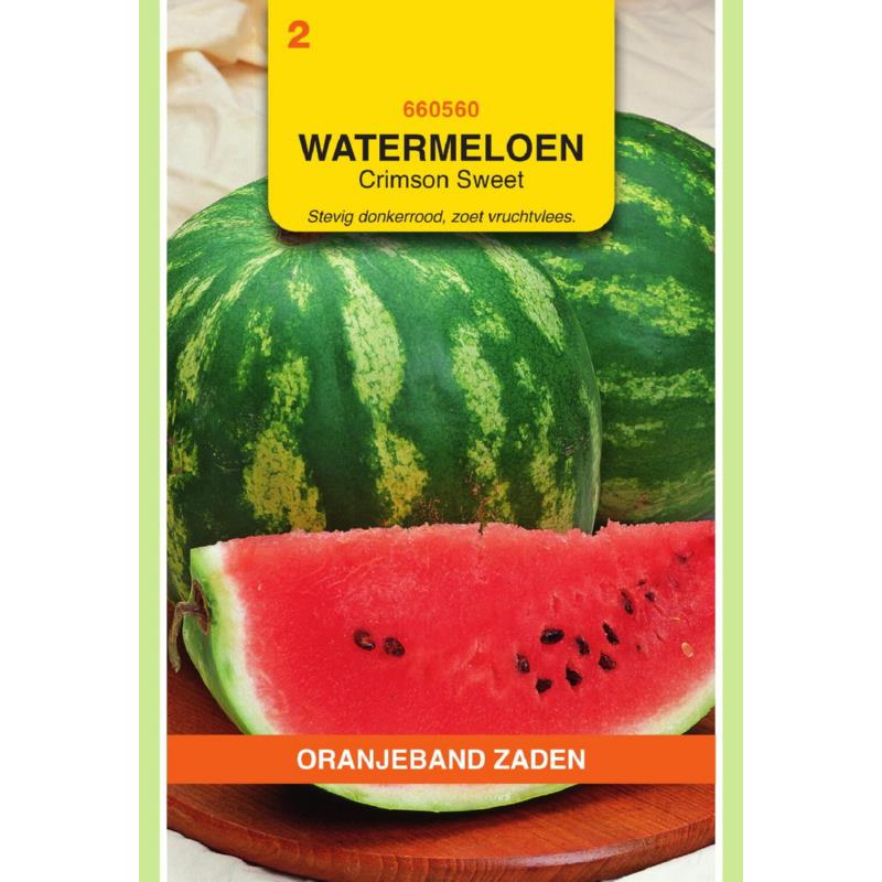 Oranjeband® Watermelon Crimson Sweet