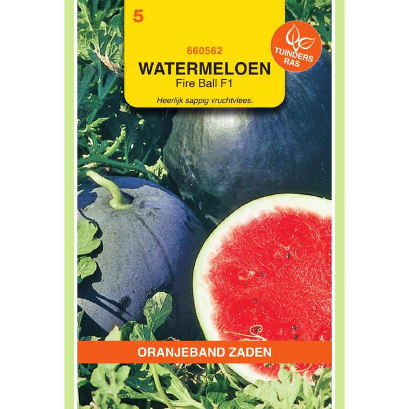 Oranjeband® Watermelon Fire Ball F1