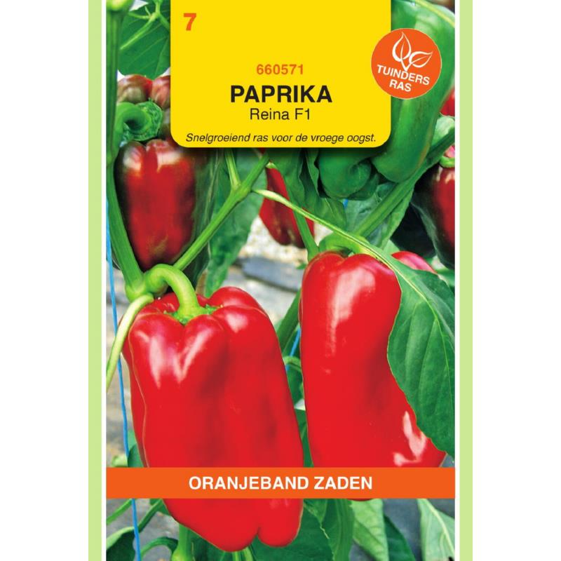 Oranjeband® Sweet pepper Reina F1