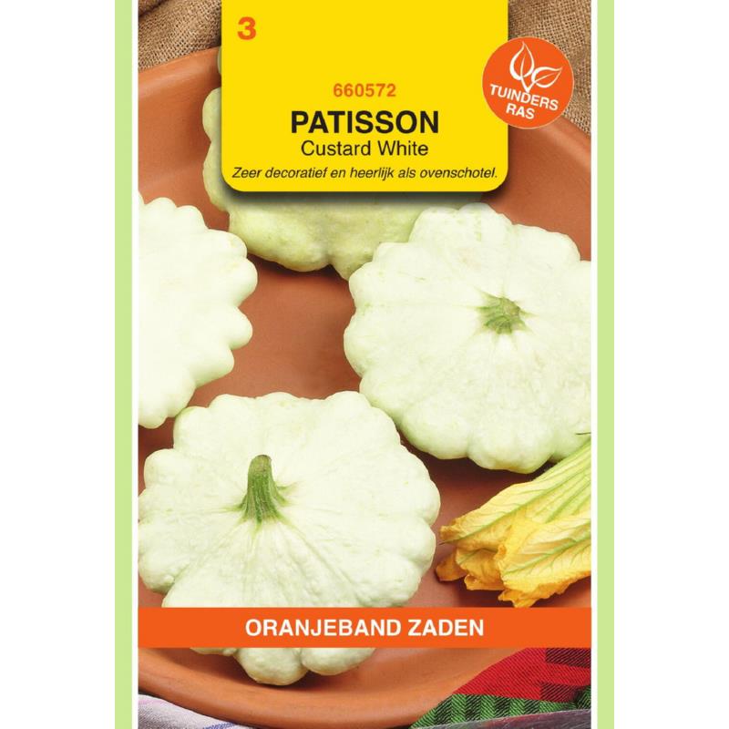 OBZ Patisson Custard White (vh Summer Satellite F1)