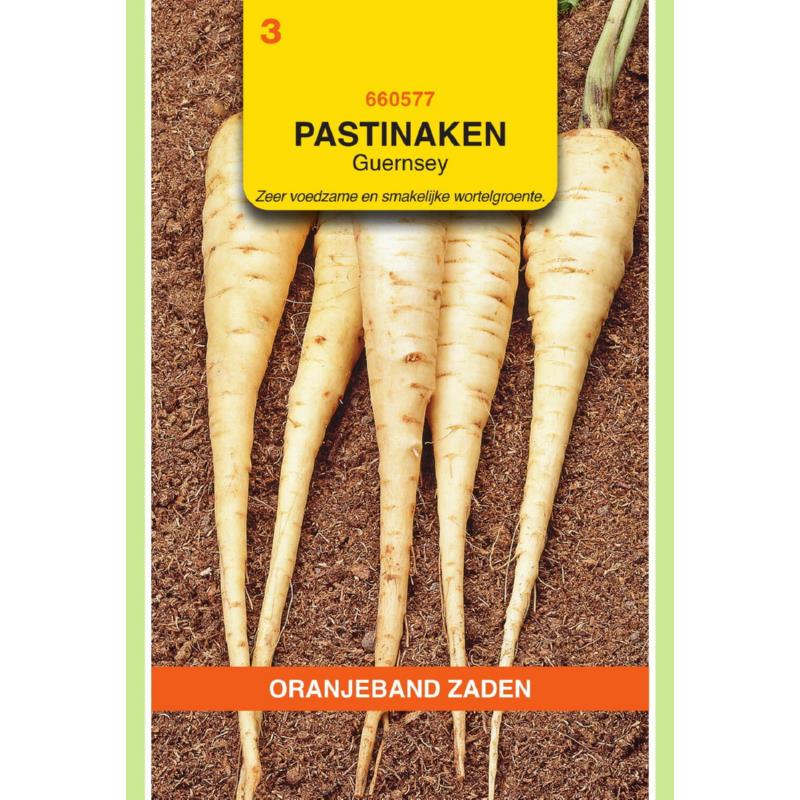 Oranjeband® Parsnip Guernsey (Hollow Crown)