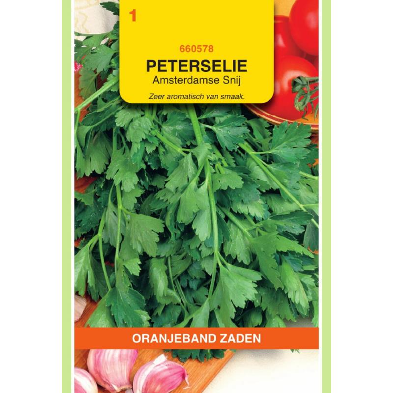 Oranjeband® Parsley Amsterdamse snij (type Common 2)