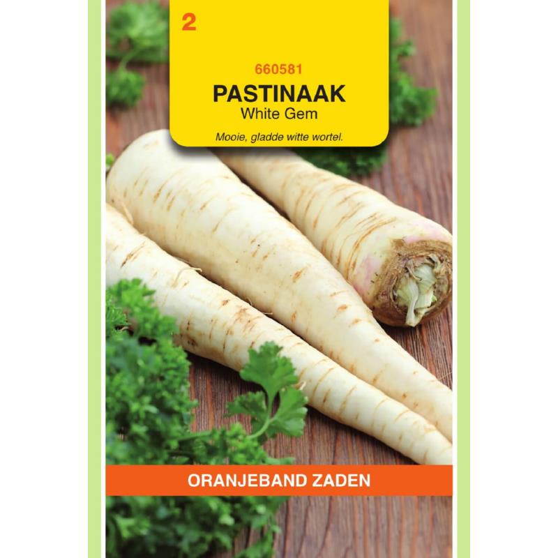 Oranjeband® Parsnip White Gem