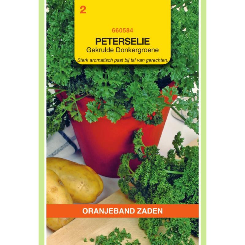 Oranjeband® Parsley Moss Curled (Triple) -2