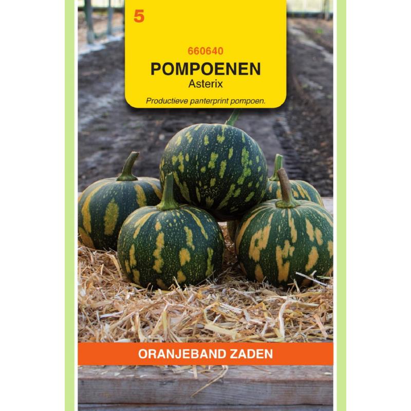 OBZ Pompoenen Asterix (Panterprint)
