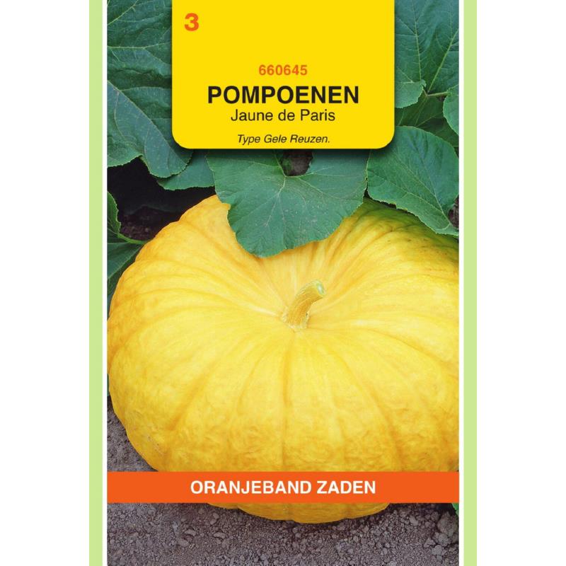 OBZ Pompoenen Jaune De Paris