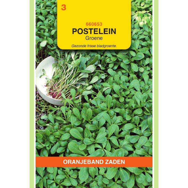 OBZ Postelein Groene