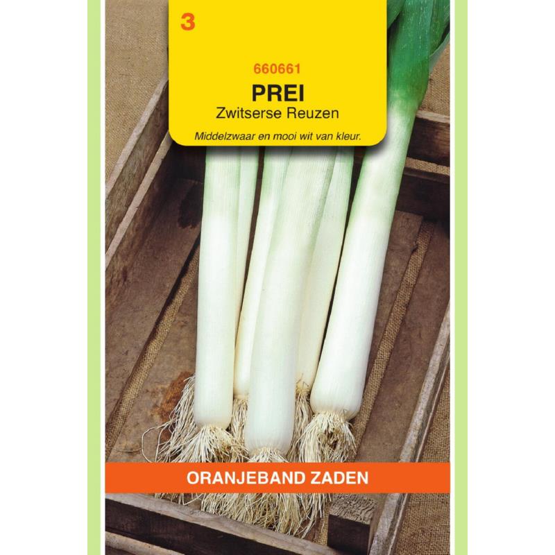 Oranjeband® Leek Swiss Giants-American Flag