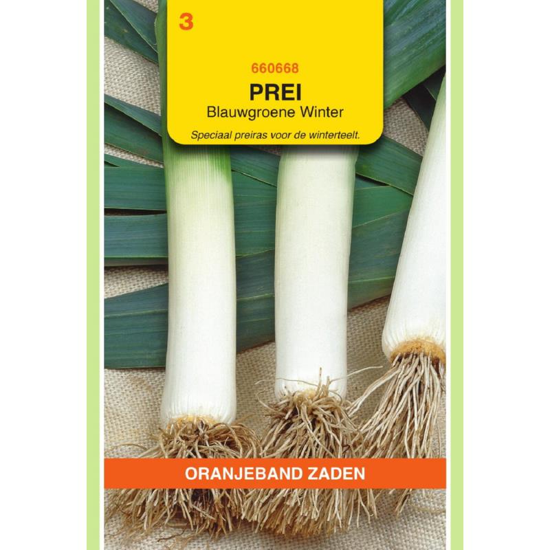 Oranjeband® Leek Bluegreen Winter