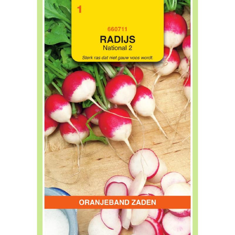 Oranjeband® Radish National 2 - Sparkler 2